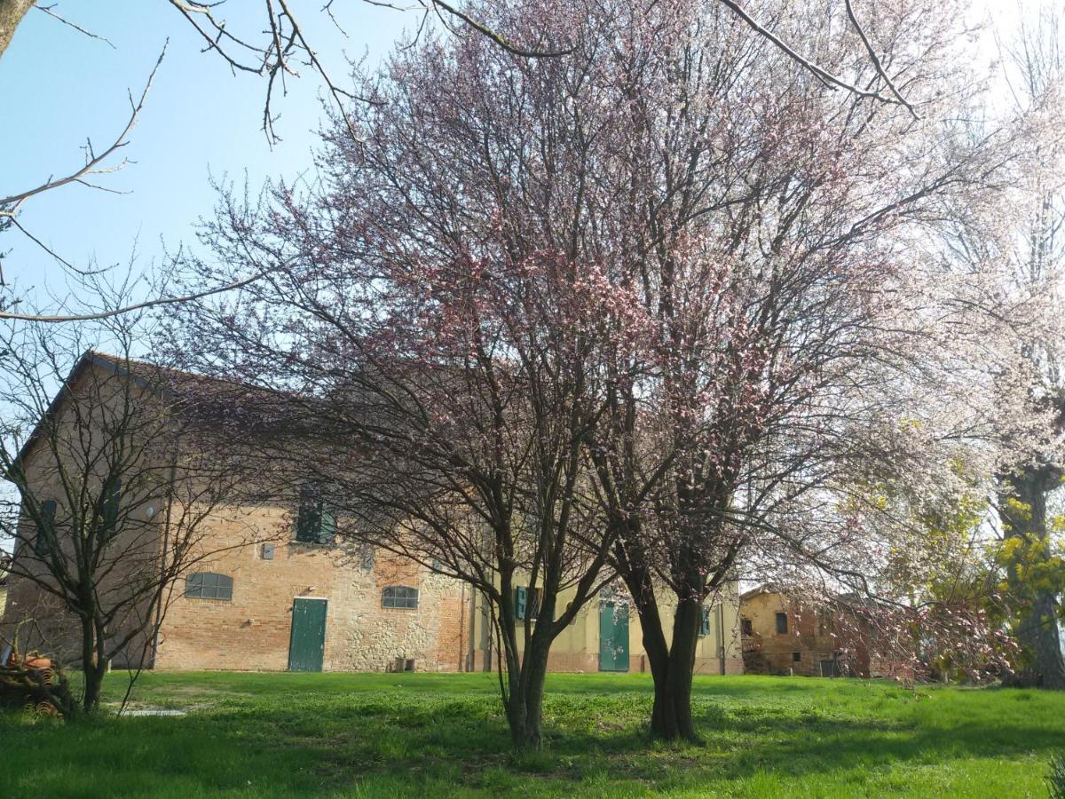 Il Boschetto Di Morgana Bed & Breakfast Castel San Pietro Terme Luaran gambar
