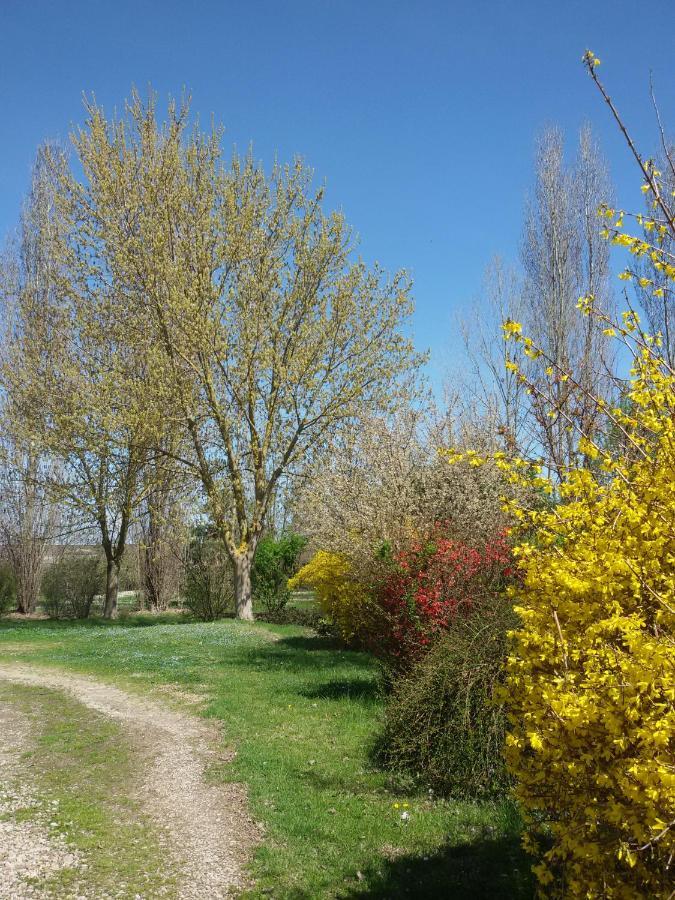 Il Boschetto Di Morgana Bed & Breakfast Castel San Pietro Terme Luaran gambar