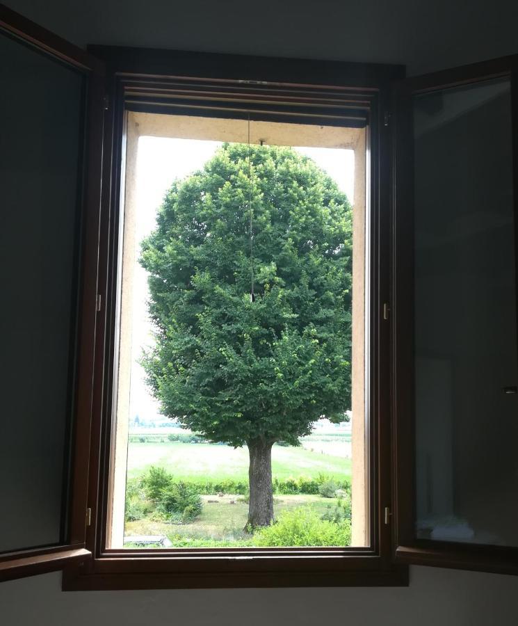 Il Boschetto Di Morgana Bed & Breakfast Castel San Pietro Terme Luaran gambar