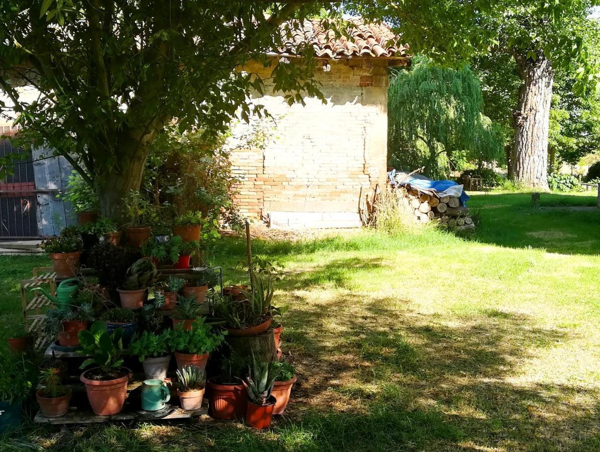 Il Boschetto Di Morgana Bed & Breakfast Castel San Pietro Terme Luaran gambar
