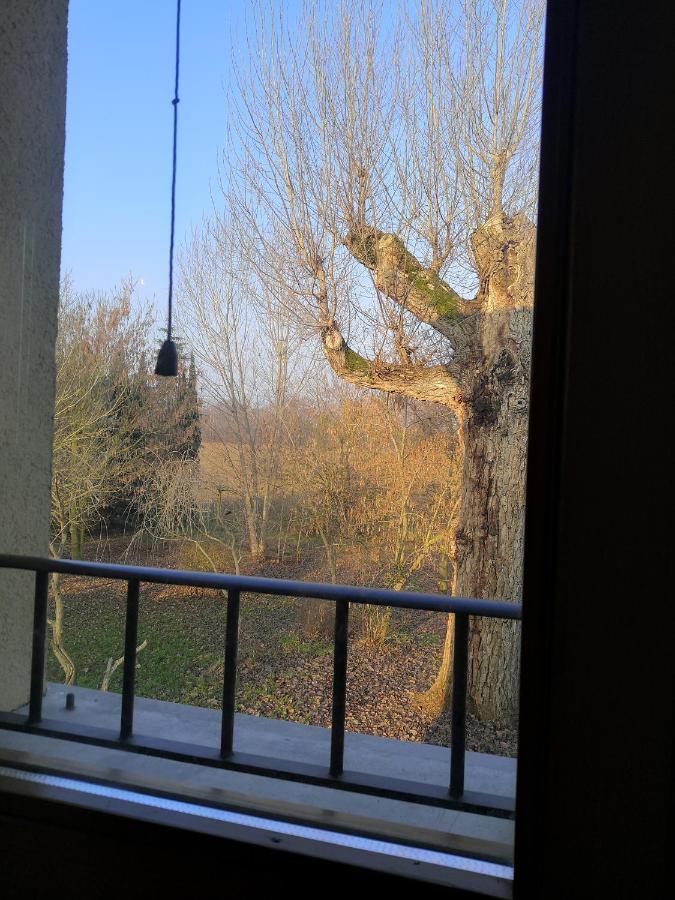 Il Boschetto Di Morgana Bed & Breakfast Castel San Pietro Terme Luaran gambar